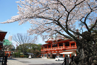 妙見本宮 千葉神社 イメージ