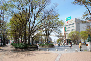 千葉中央公園 イメージ